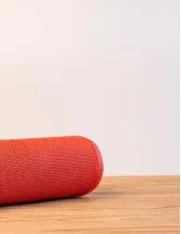 Bluetooth Speaker Market Analysis, Size, and Forecast 2025-2029: North America (US and Canada), Europe (France, Germany, Italy, The Netherlands, and UK), and APAC (China, India, and Japan)
